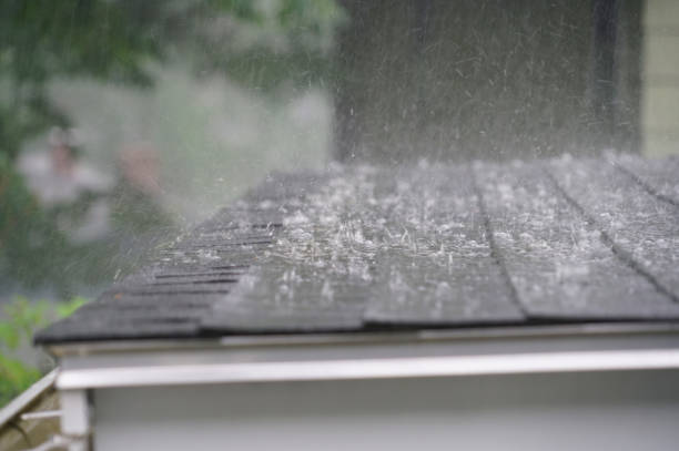 Best Roof Coating and Sealing  in Northville, NY