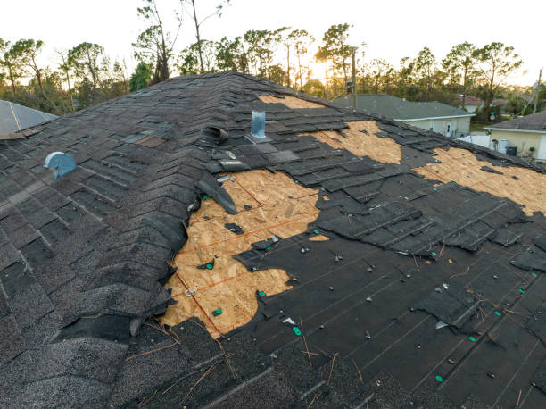 Best Roof Coating and Sealing  in Northville, NY